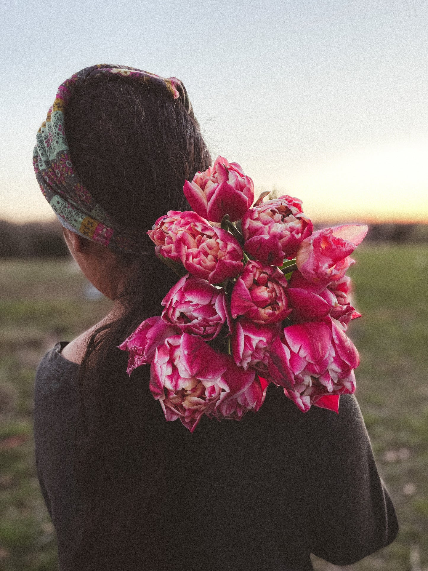 Double Tulip Columbus - 10 Bulbs