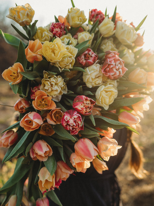 Tulip Bouquet