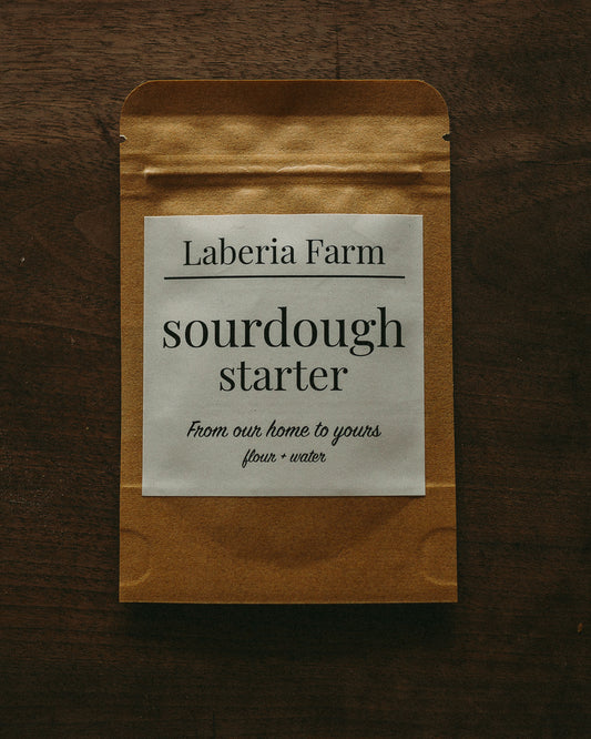Sourdough Starter