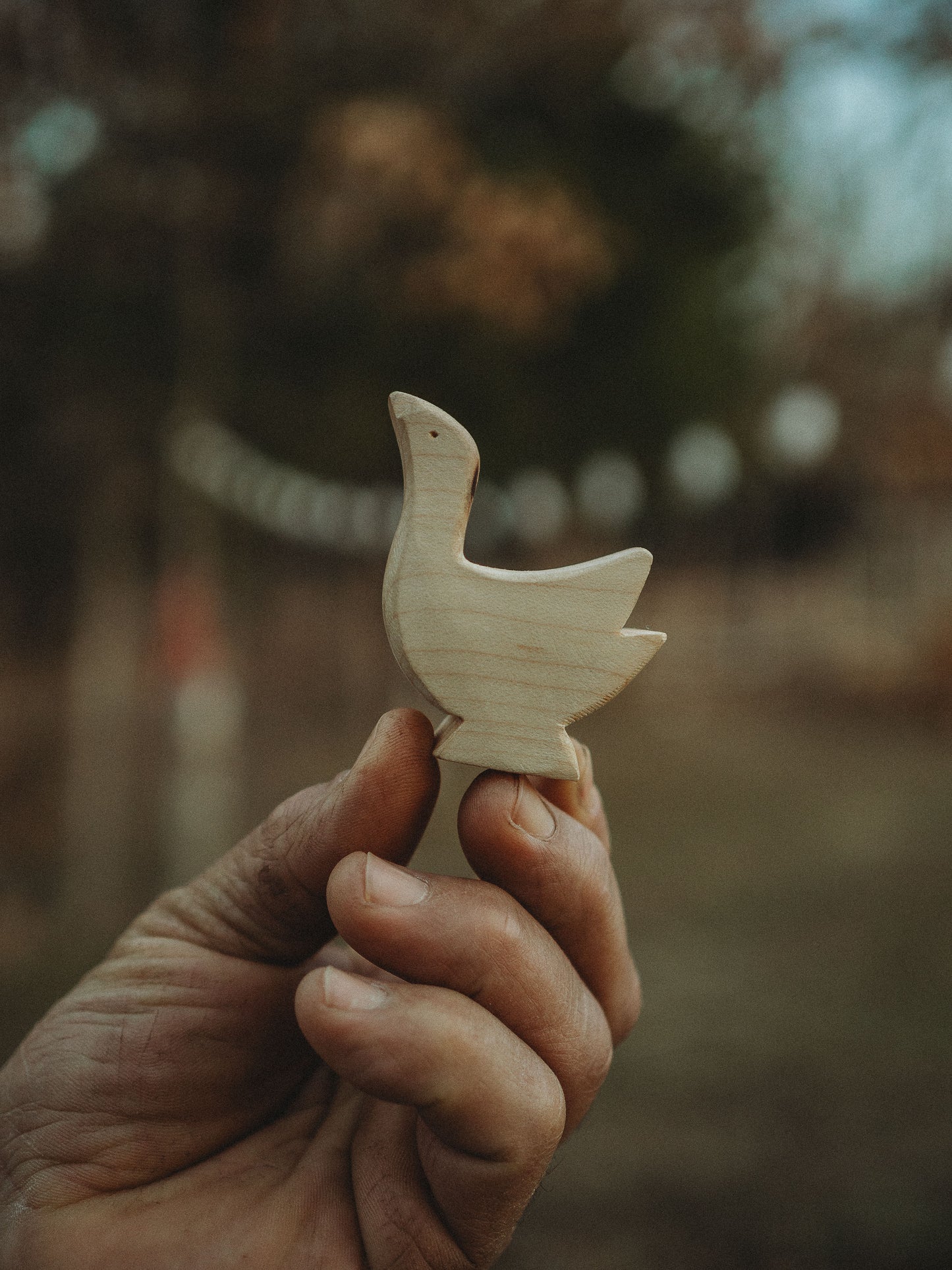Wooden Goose