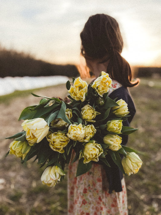 Double Tulip Foxy Foxtrot - 10 Bulbs