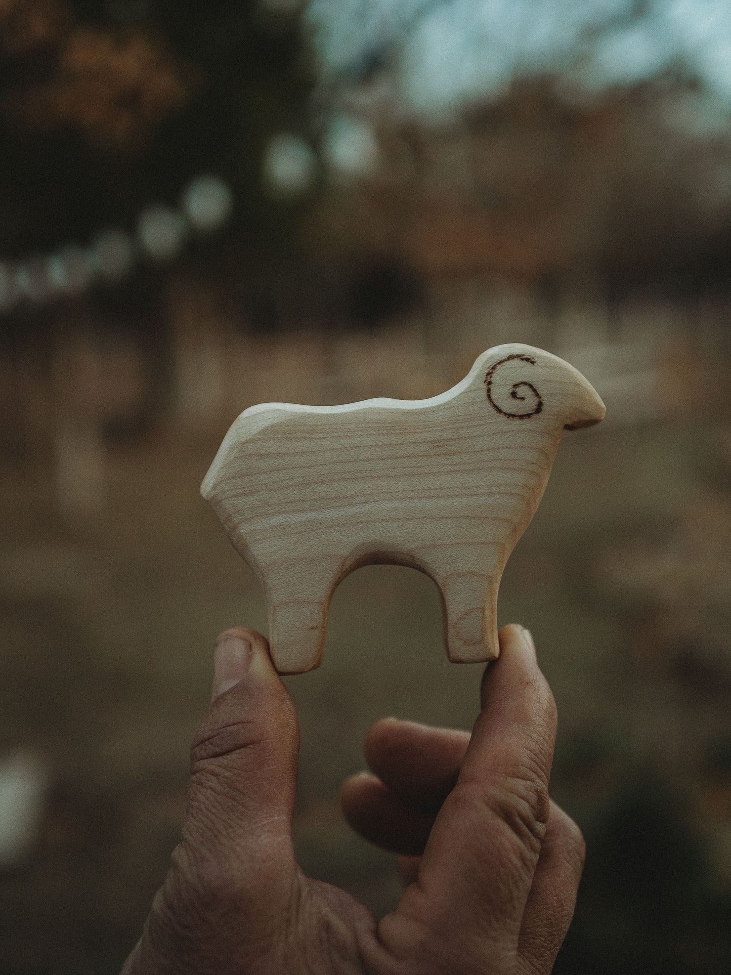 Wooden Sheep