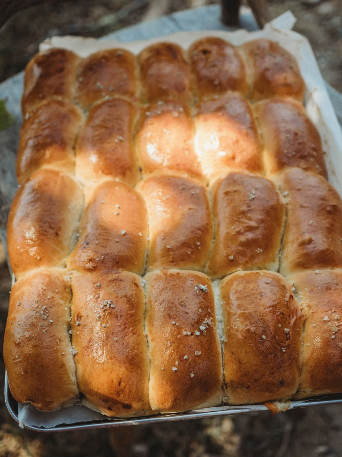 Kolaches - Sausage & Cheese