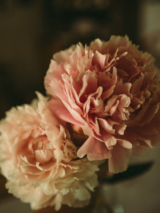 Spring Bouquets