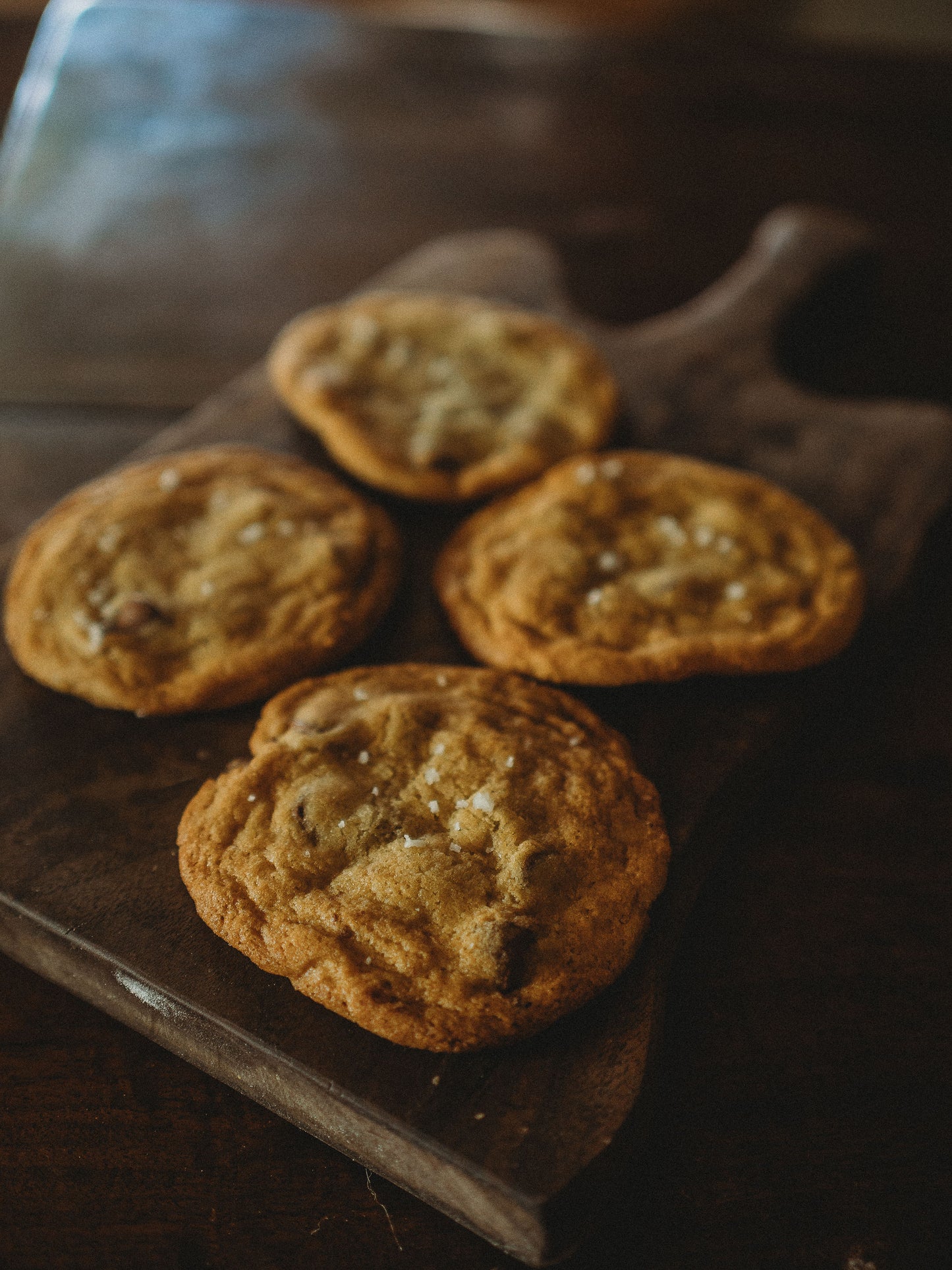 Sourdough Chocolate Chip Cookies - FROZEN
